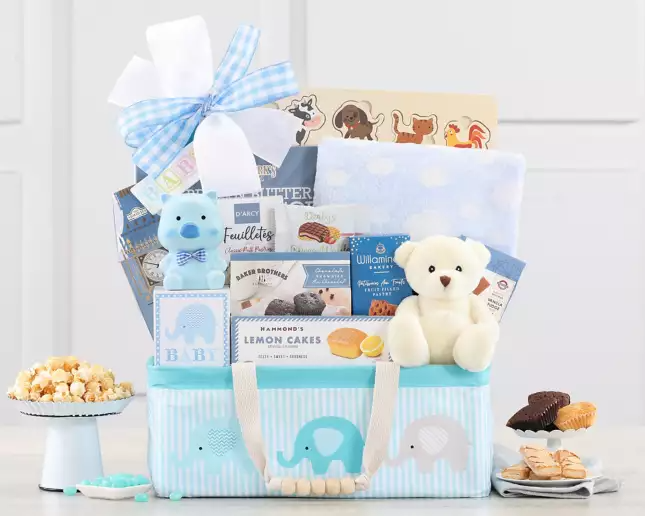 Bundle of Joy: Baby Boy Gift Basket