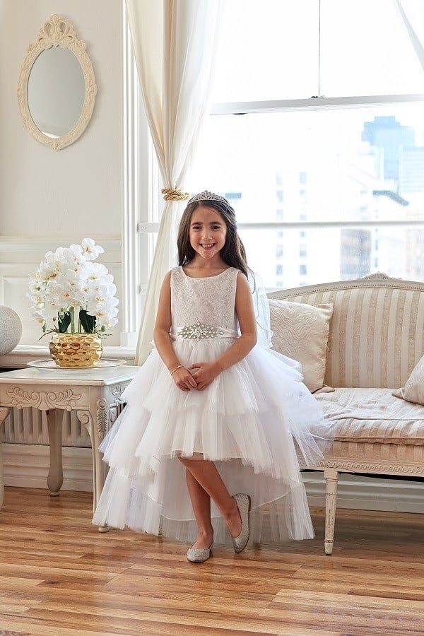 High-shimmer embroidery patterns and multiple grand layers of premium organza fabric defining the Calla Collection D-825 silhouette