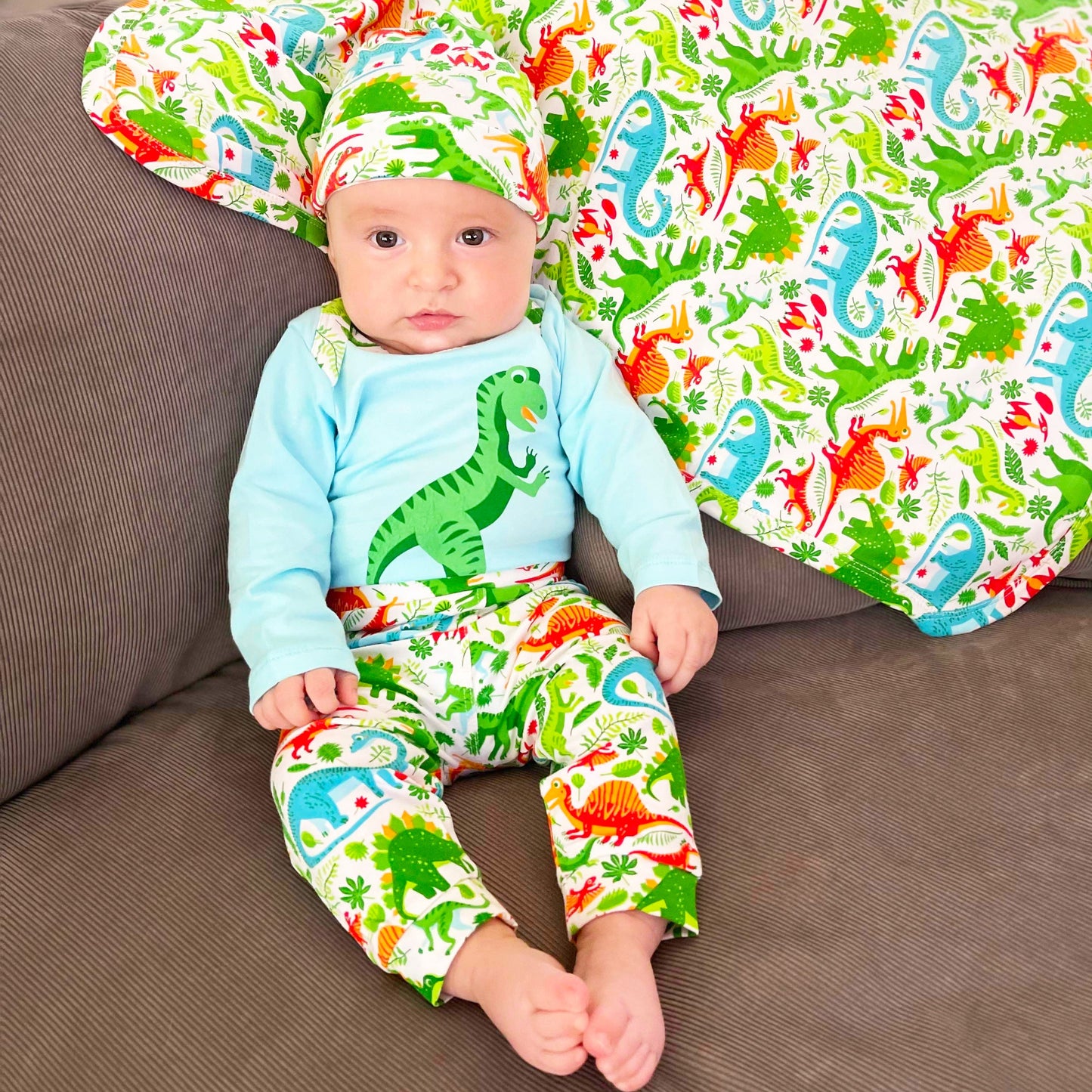 AnnLoren Baby Toddler Boy Dinosaur Blanket & Bib Gift Set 2 pc Knit Cotton