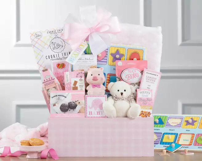 Welcome baby girl deals gift basket