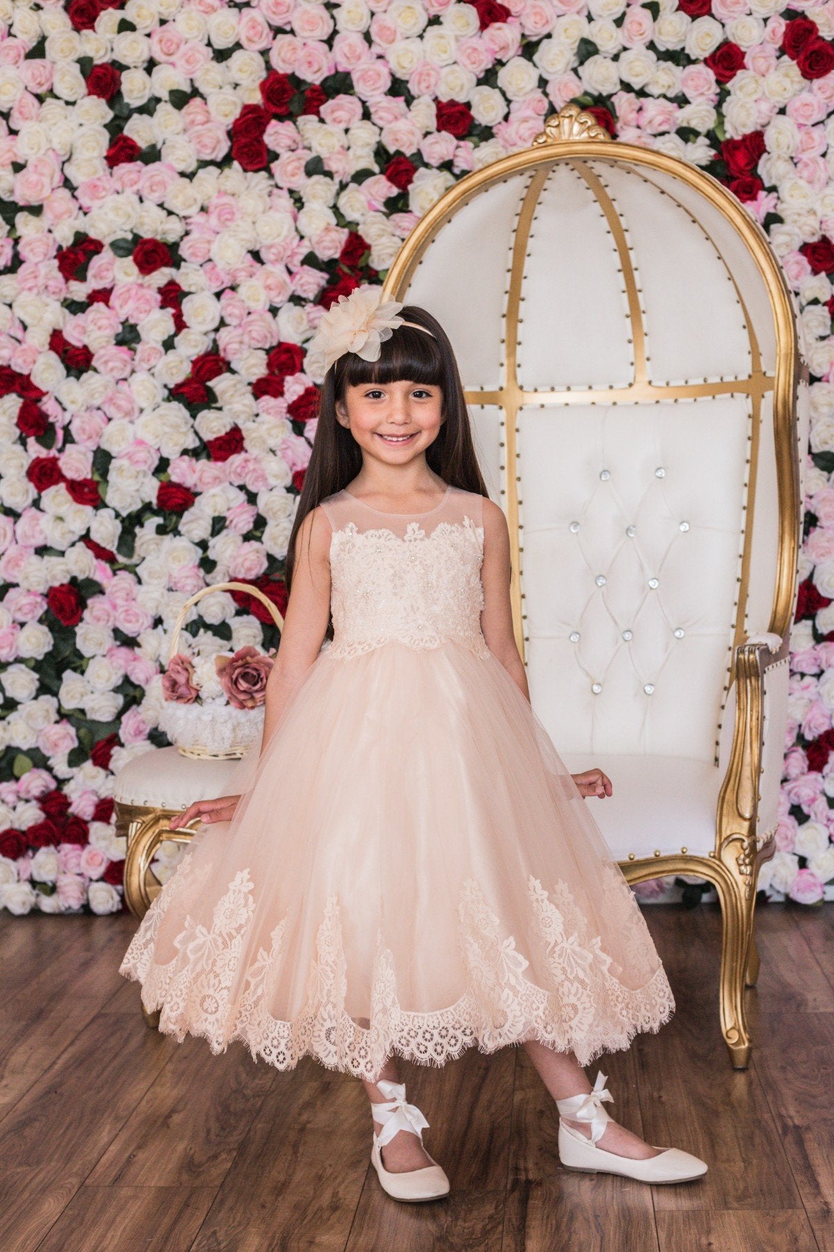 Dress - Lace Appliqué Illusion Bateau Dress