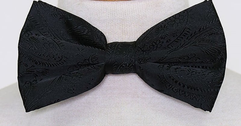 Calla Collection Men's Paisley Bowtie 278-BOWTIE Sophisticated Formal Bowtie