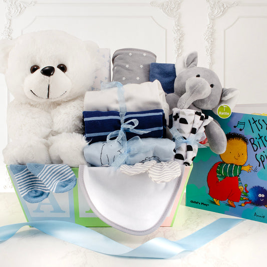 Baby ABC's: Baby Boy Gift Basket