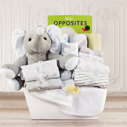 Born to be Wild: New Baby Gift Basket