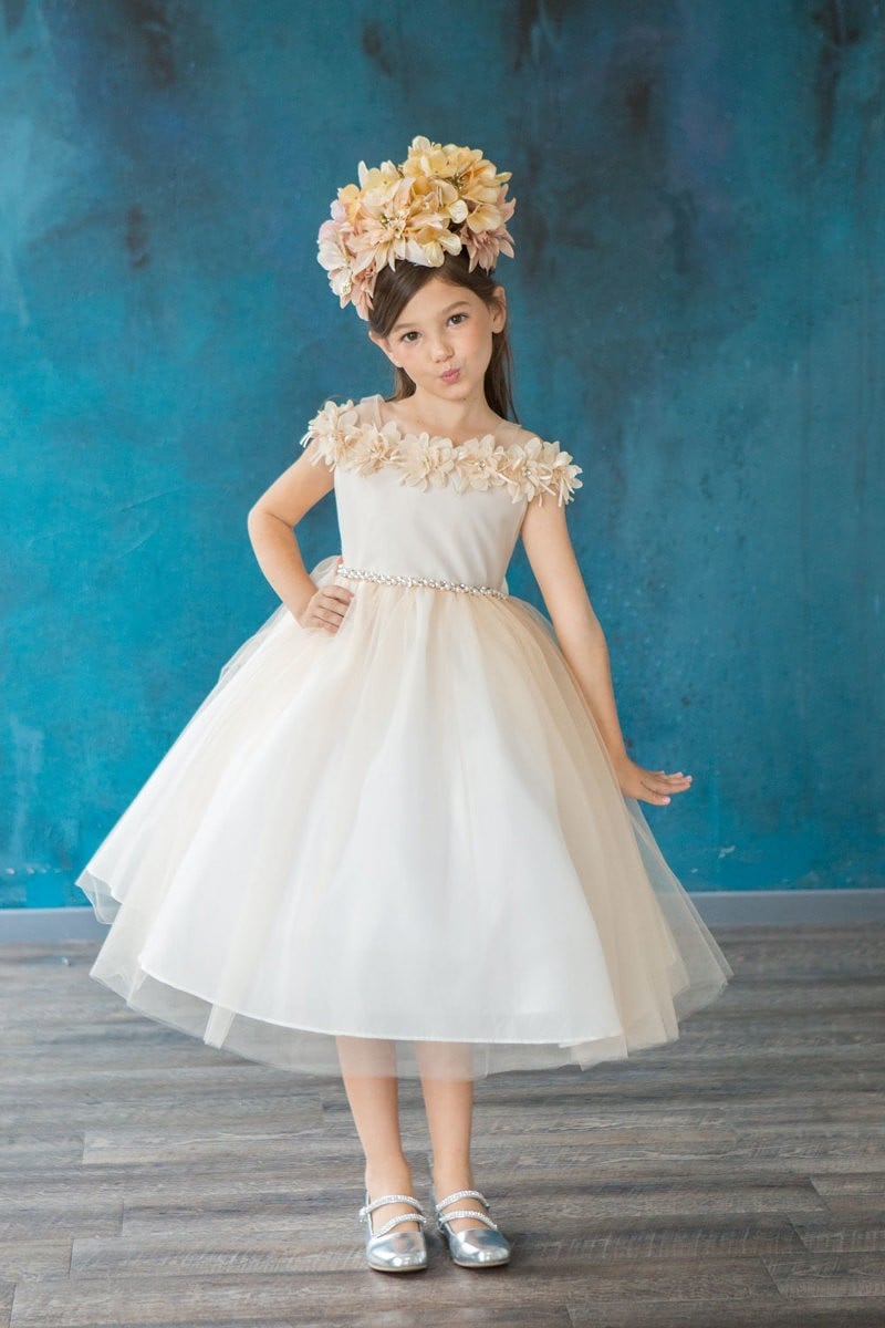 Calla Collection D-797 special occasion gown with a tea-length A-line tulle skirt