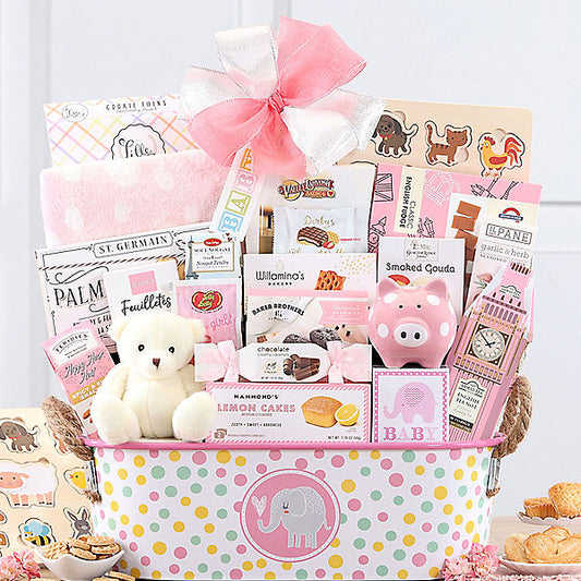 Ultimate Baby: Baby Girl Gift Basket