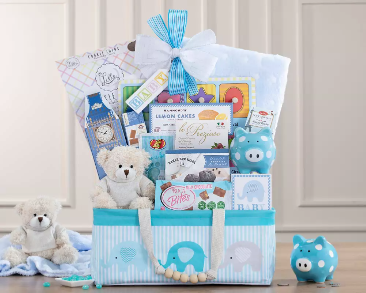 Bundle of Joy: Baby Boy Gift Basket