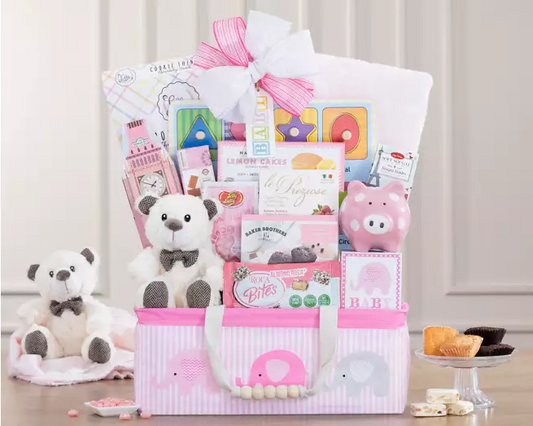 Bundle of Joy: Baby Girl Gift Basket