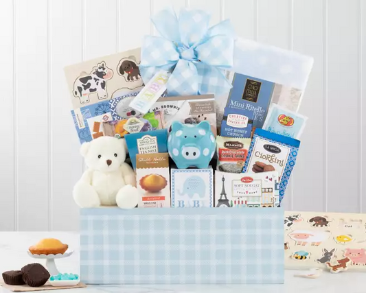 WELCOME HOME: BABY BOY GIFT BASKET