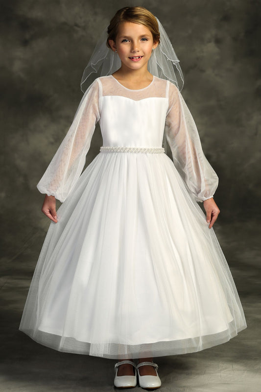 516-Long Mesh Sleeve Pearl Dress