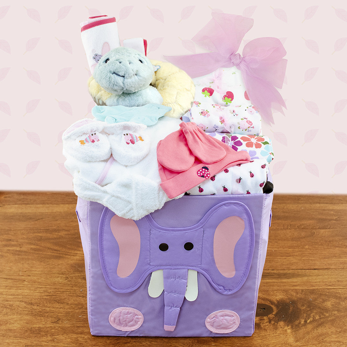 Best Wishes: Baby Girl Gift Basket