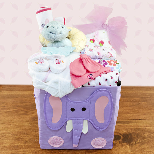 Best Wishes: Baby Girl Gift Basket