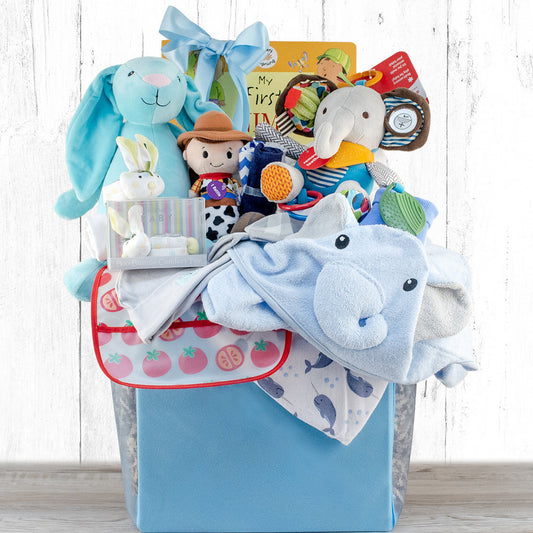 Congratulations: Baby Boy Gift Basket