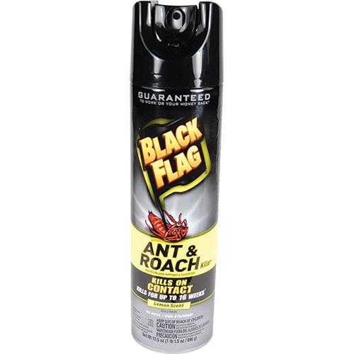 Insect Spray Diversion Safe