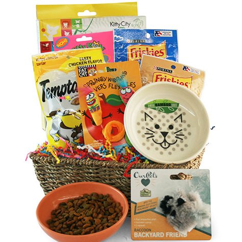 Catnip Crazy: Pet Cat Gift Basket