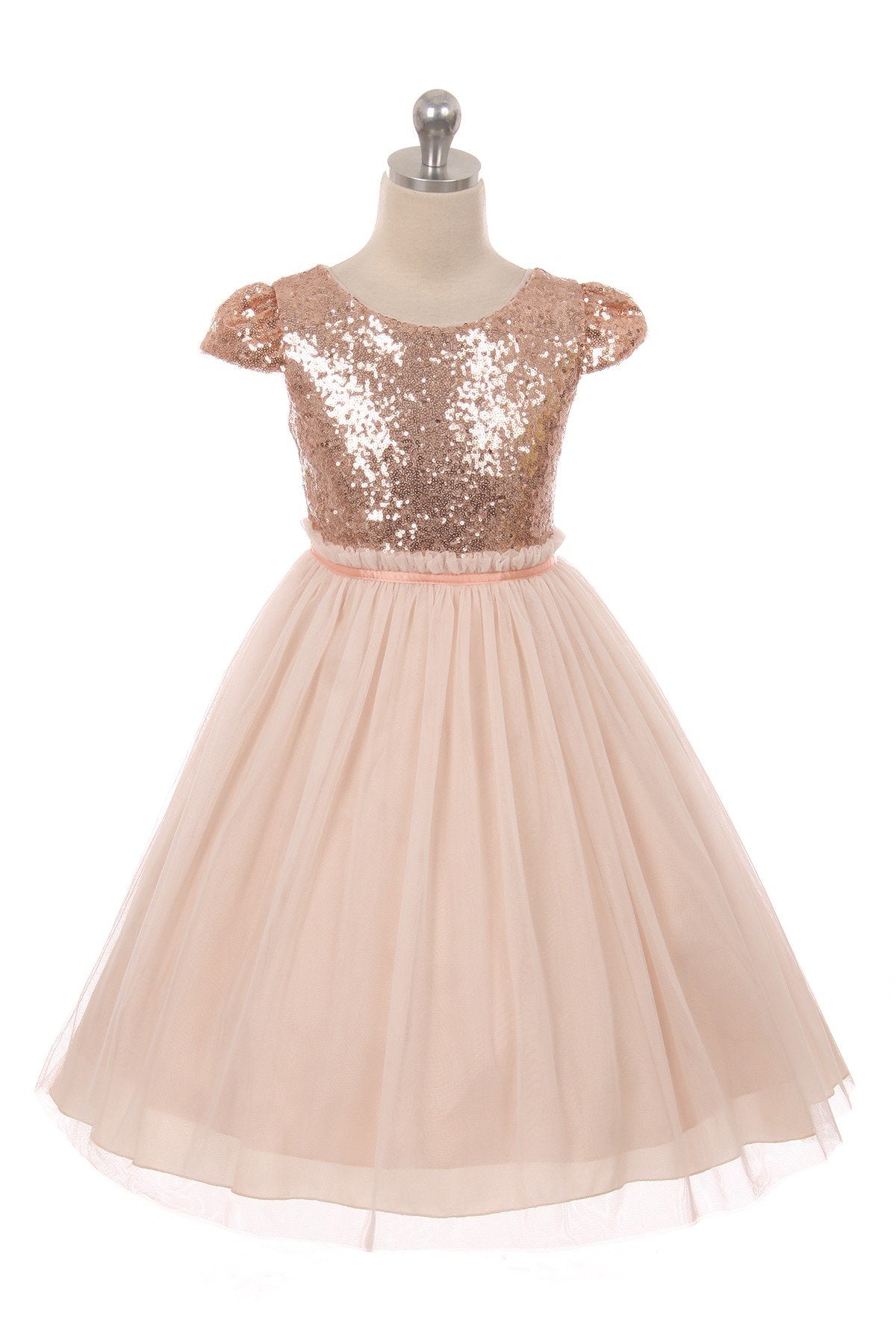 Dress - Sequin Mesh Pleated Dress