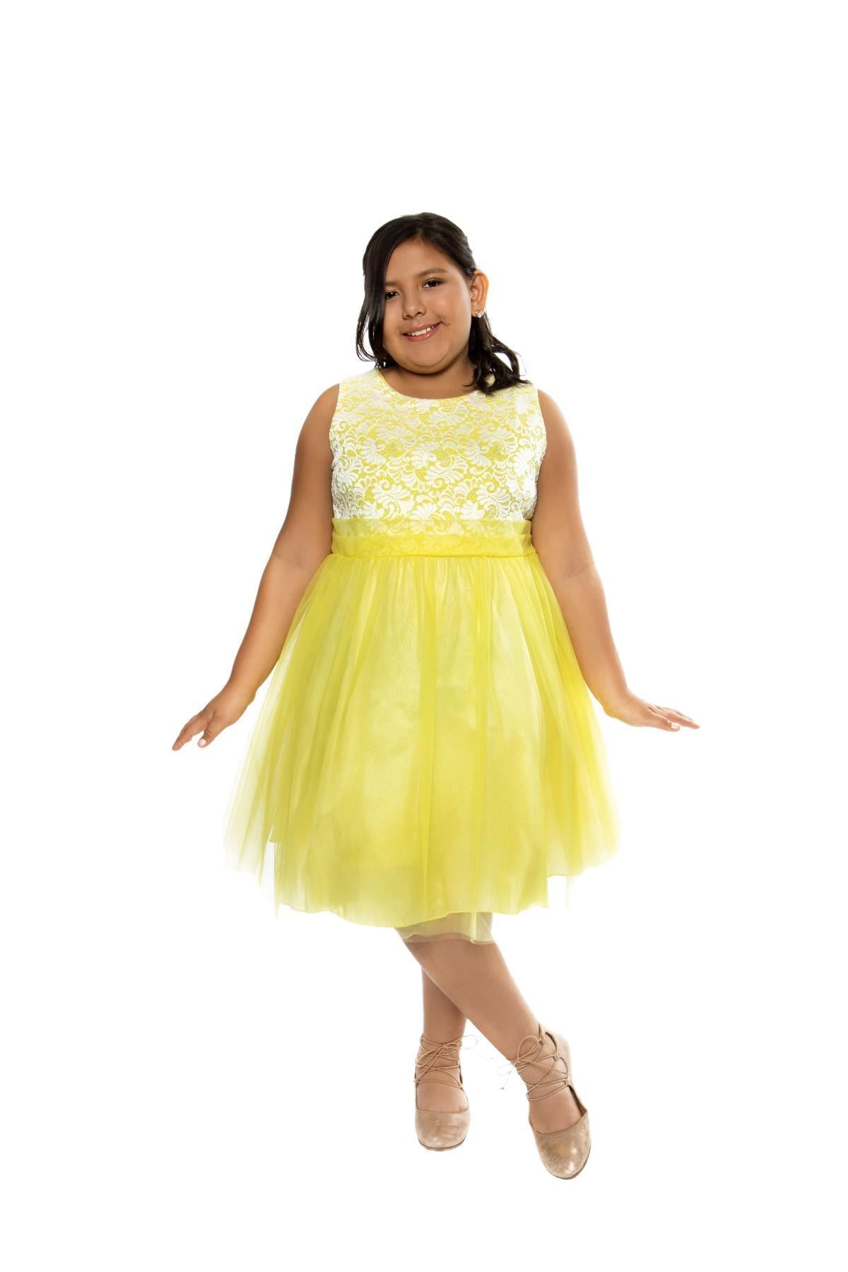 Dress - Stretch Lace Tulle Plus Size Girl Dress